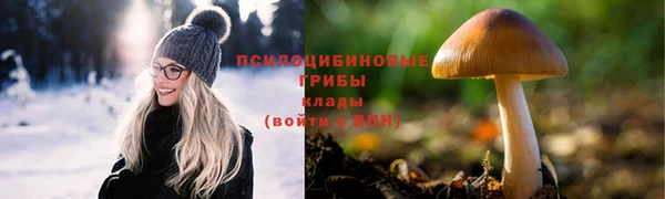 марки lsd Богородицк