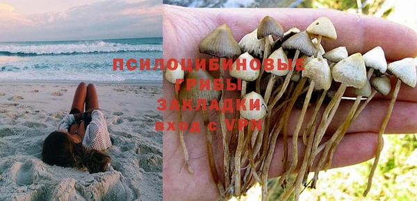 марки lsd Богородицк