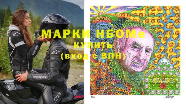 прущие грибы Снежногорск