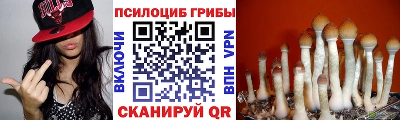 blacksprut вход  Полтавская  это Telegram  Псилоцибиновые грибы GOLDEN TEACHER 